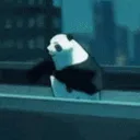 pandajjk