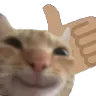 yuh_uh