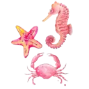 c_seahorsiesdtiribbons