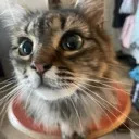 annabethstare