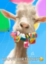 birthdaywishes