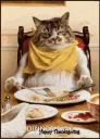 dinnertimekitten