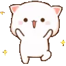 cat_Wtwirl