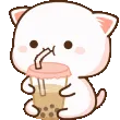 091_cat_bubbletea