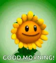 goodmorning
