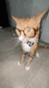 nerdalertnerd