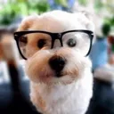 nerdnerdy