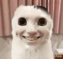 grin