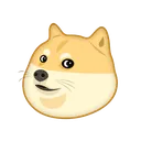 doge