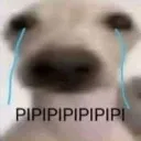 pipipi_cry