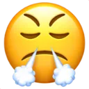 steamFace