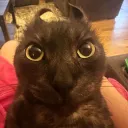 evilMeevin