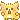 yellow_jumpingcat
