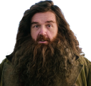 hagrid_surprised custom emote | Harry Potter on HBO