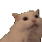 34899screamingcat