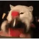 catcola