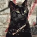 catplotting