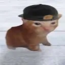 swagcat
