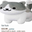 fatfuck