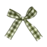 fleur_green_bow