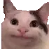 politeCat