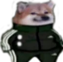 dog_swag