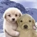 abrazo