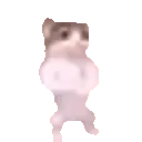 Dancing_Cat_1