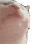 catJAM