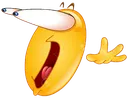 wtf