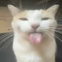 silly silly