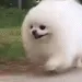 CORRE