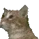 catbop