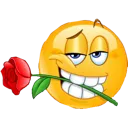 zemoji_yellow