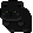 blackcat