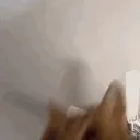 cat_slap