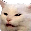 pogcat