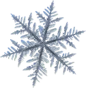 07_snowflake