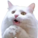 emoji_5