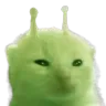 glorp