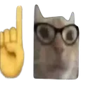 erm
