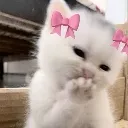 smolnibbles smolnibbles