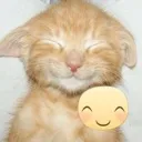 happykitty