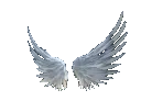 silverwings_sweets