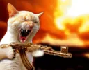 catmurder_sweets