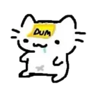 z_dumb_cat