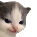 evilkitty