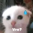 2d017f78dace4d8499494d5534128499