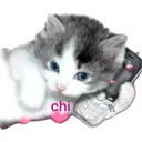 ecaf25688dbf45ada621b13644deb289