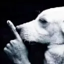 shh